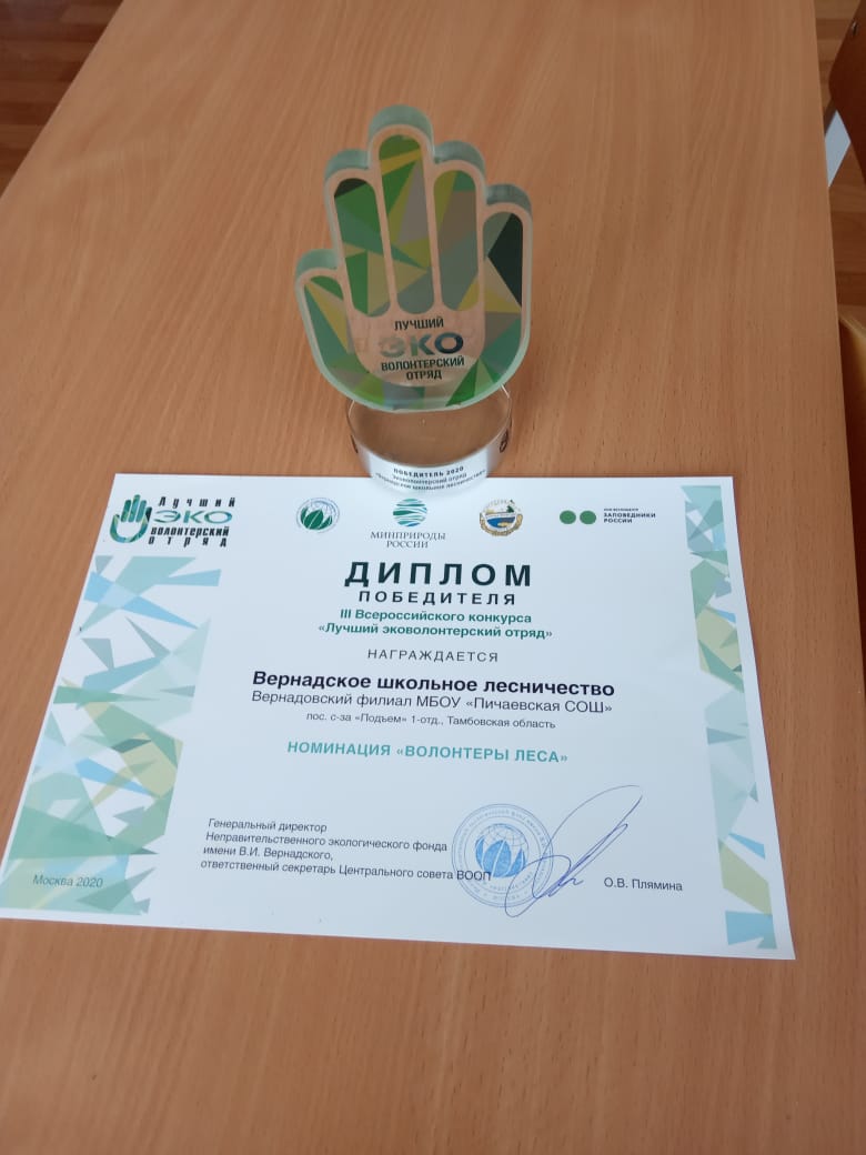 10 volontery lesa