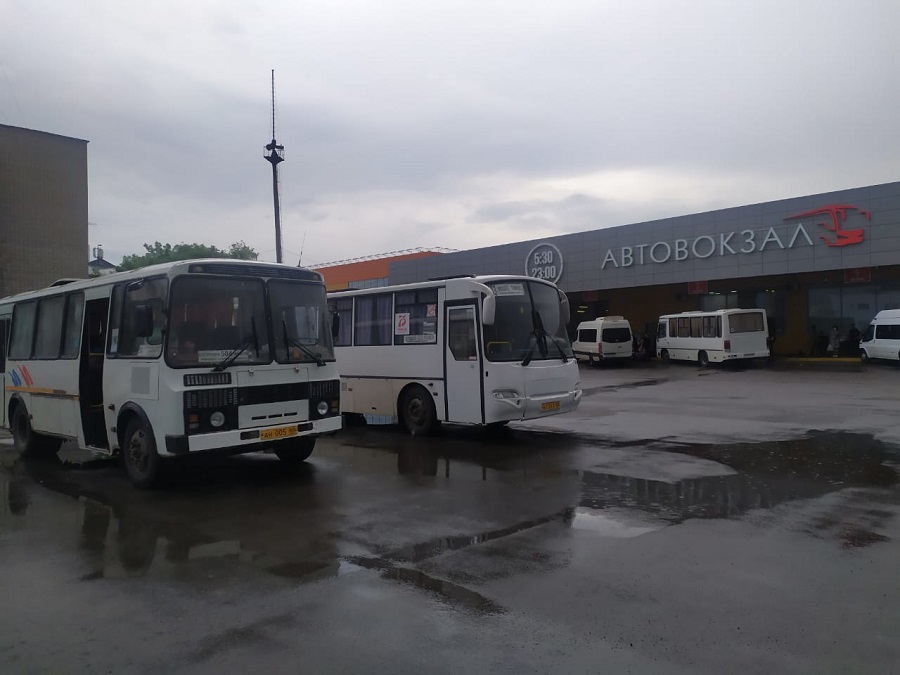 avtobusy