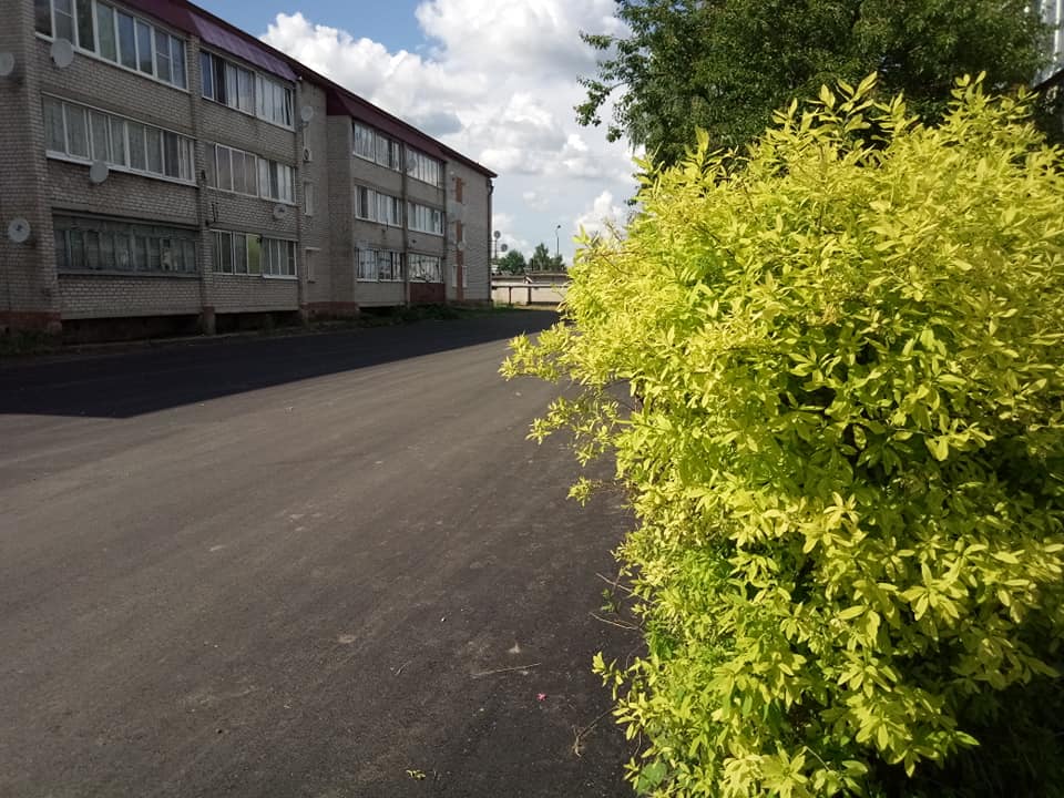 dvorovyj proe