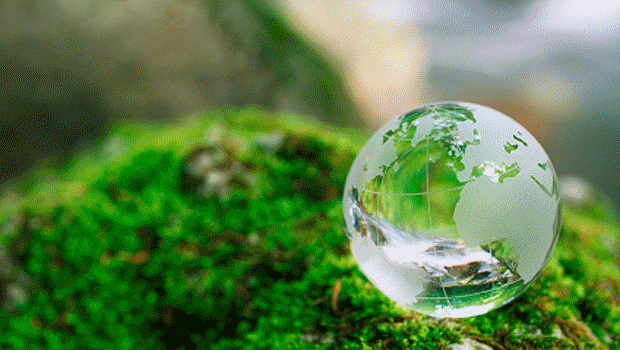ecolog