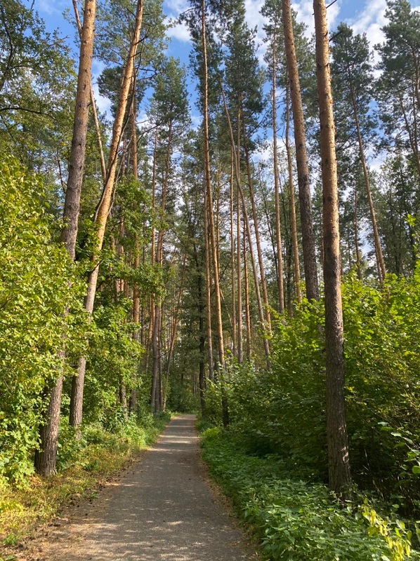 les tambov
