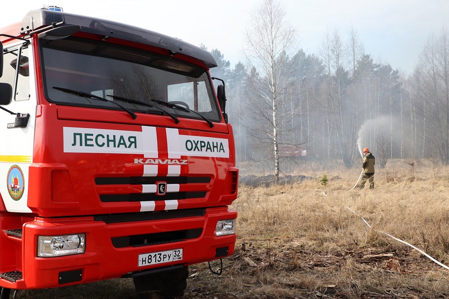 lesnaya ochrana