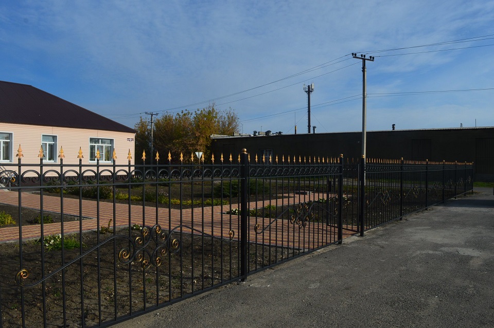 territoriya u dmsh v petrovskom