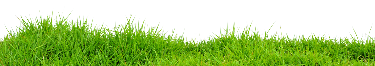 ecologia