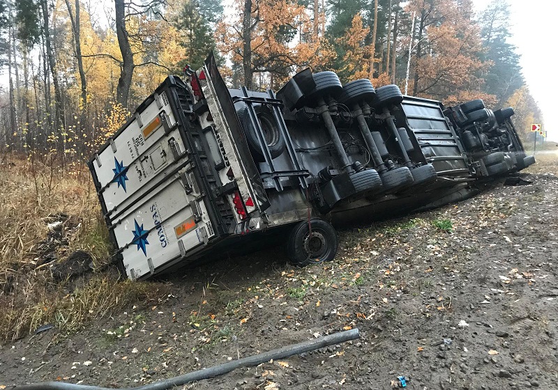 2310dtp2