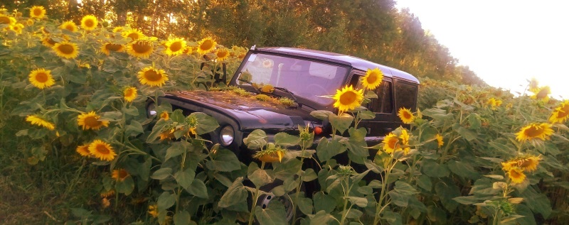 uaz