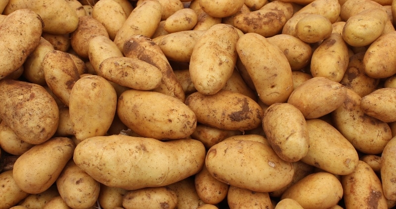 kartoska2