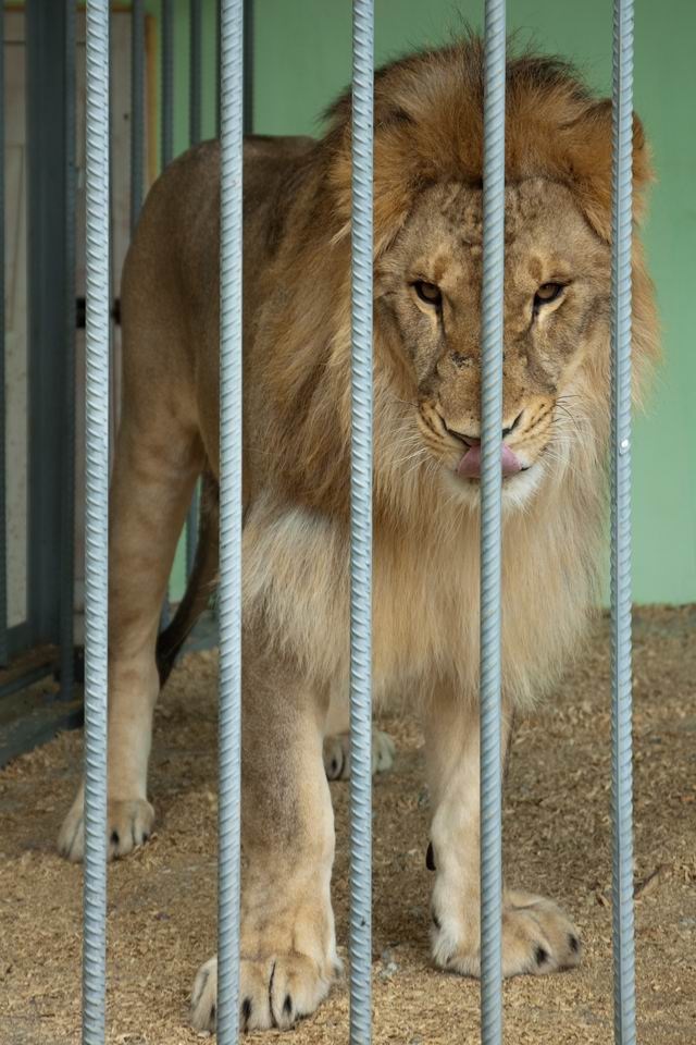 zootsu1